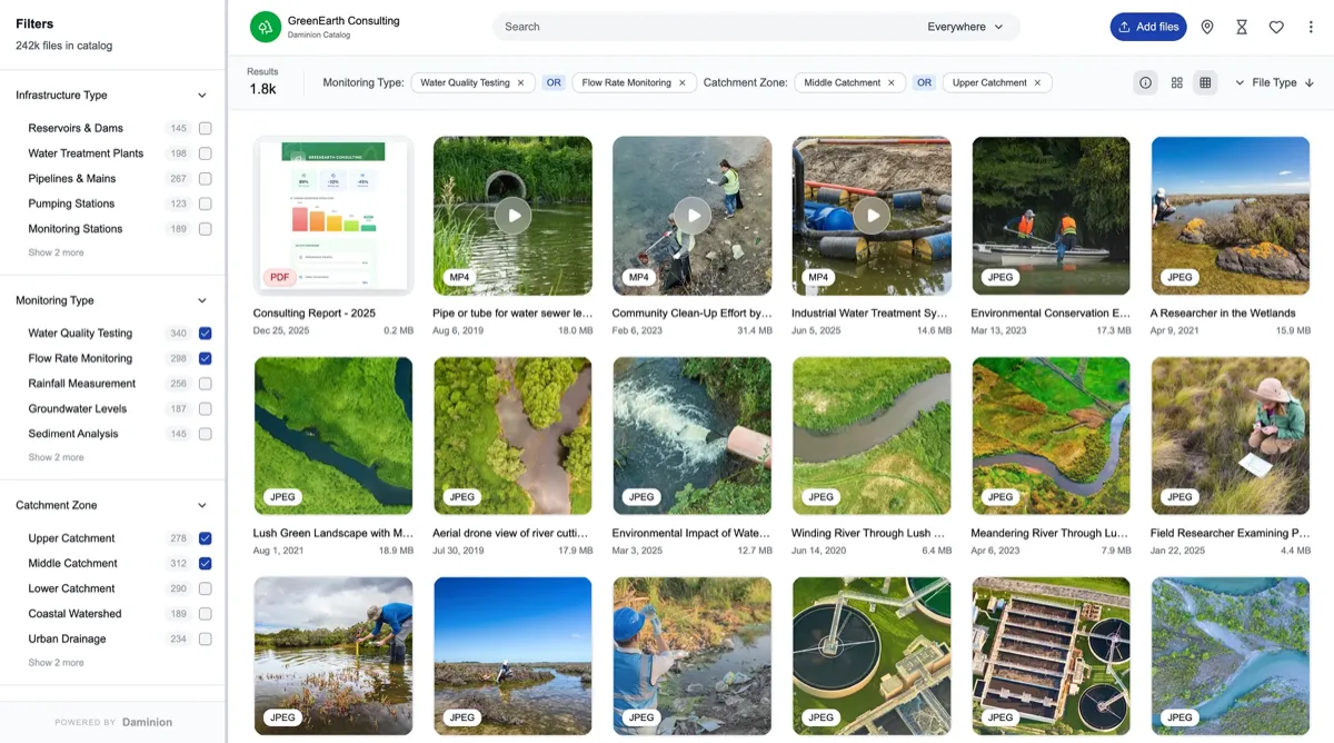 Daminion catalog view with folder tree, thumbnail grid and metadata panel